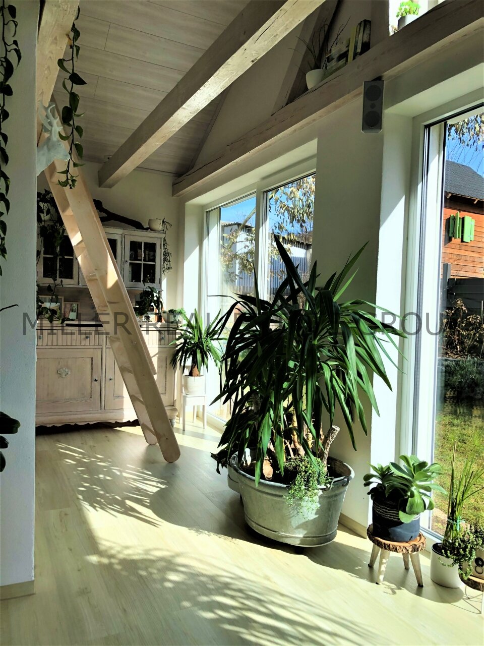 Hier erfüllen sich Wohnträume – Großzügiges Familienparadies!