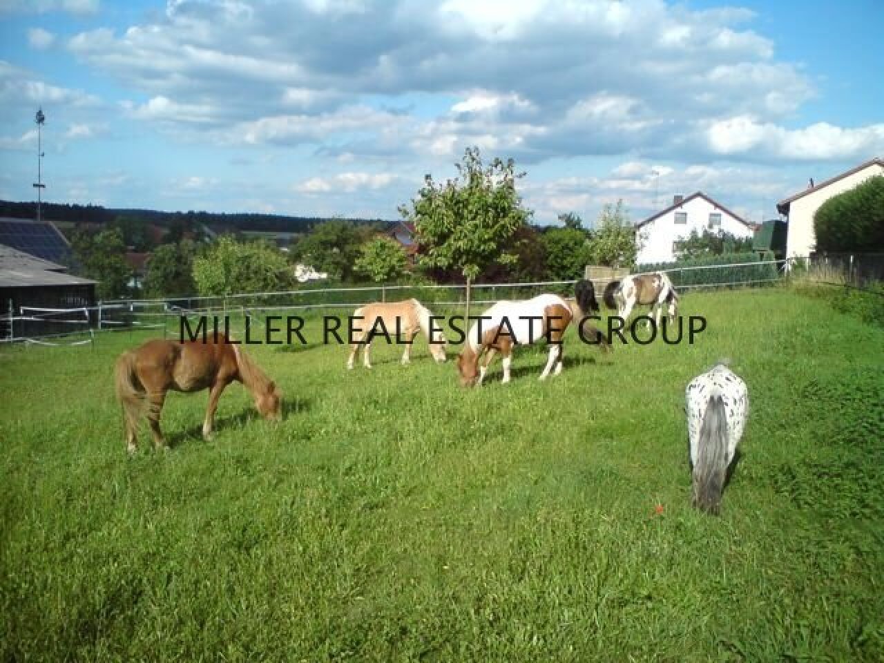 MILLER REAL ESTATE GROUP MILLER REAL ESTATE GROUP