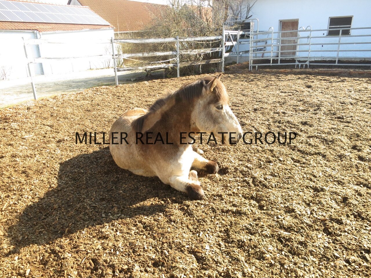 MILLER REAL ESTATE GROUP MILLER REAL ESTATE GROUP