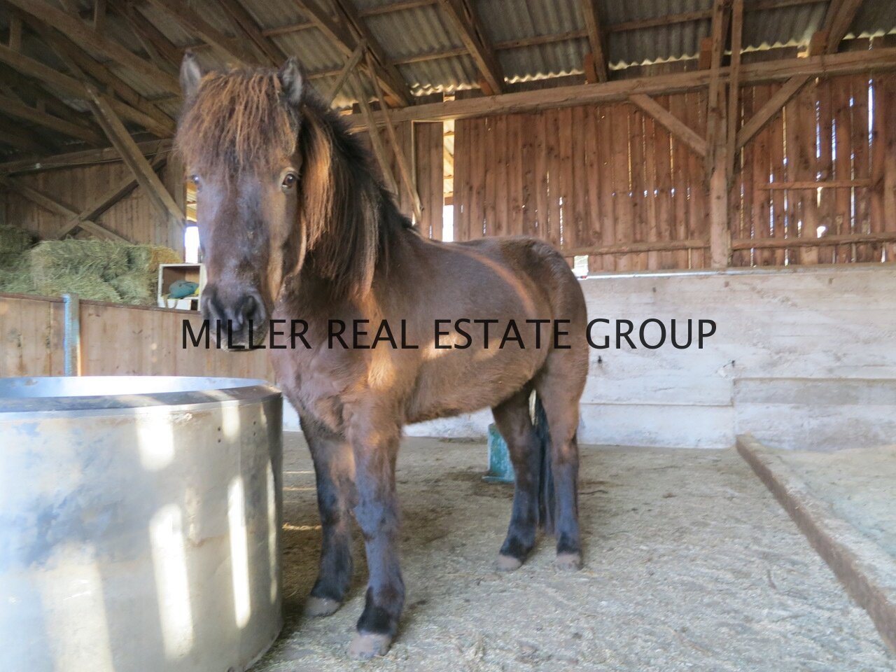 MILLER REAL ESTATE GROUP MILLER REAL ESTATE GROUP