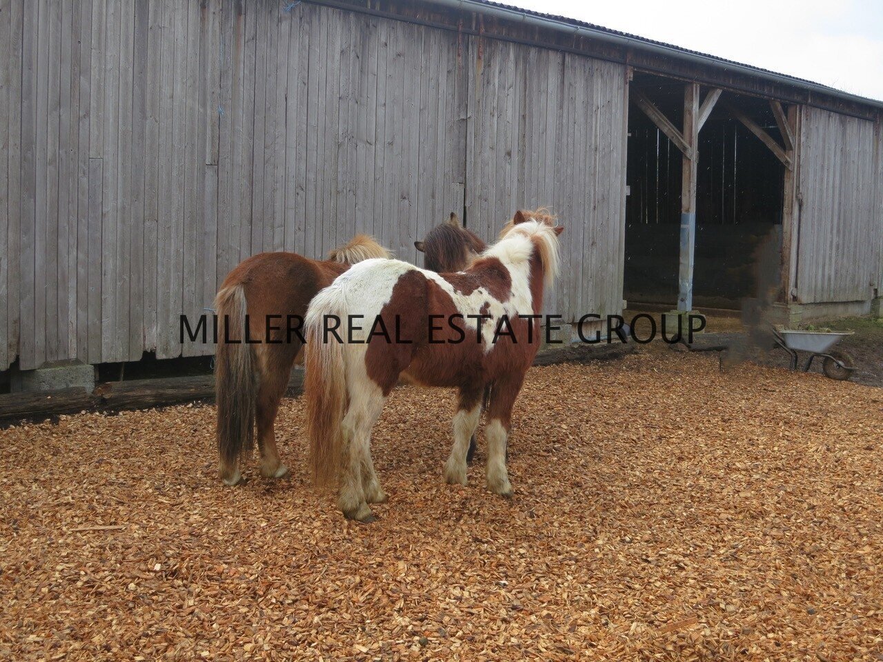 MILLER REAL ESTATE GROUP MILLER REAL ESTATE GROUP