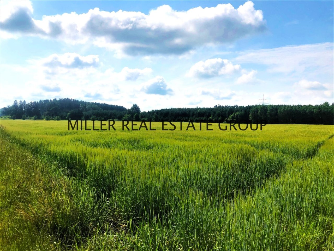 MILLER REAL ESTATE GROUP MILLER REAL ESTATE GROUP