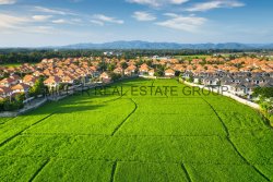 MILLER REAL ESTATE GROUP MILLER REAL ESTATE GROUP