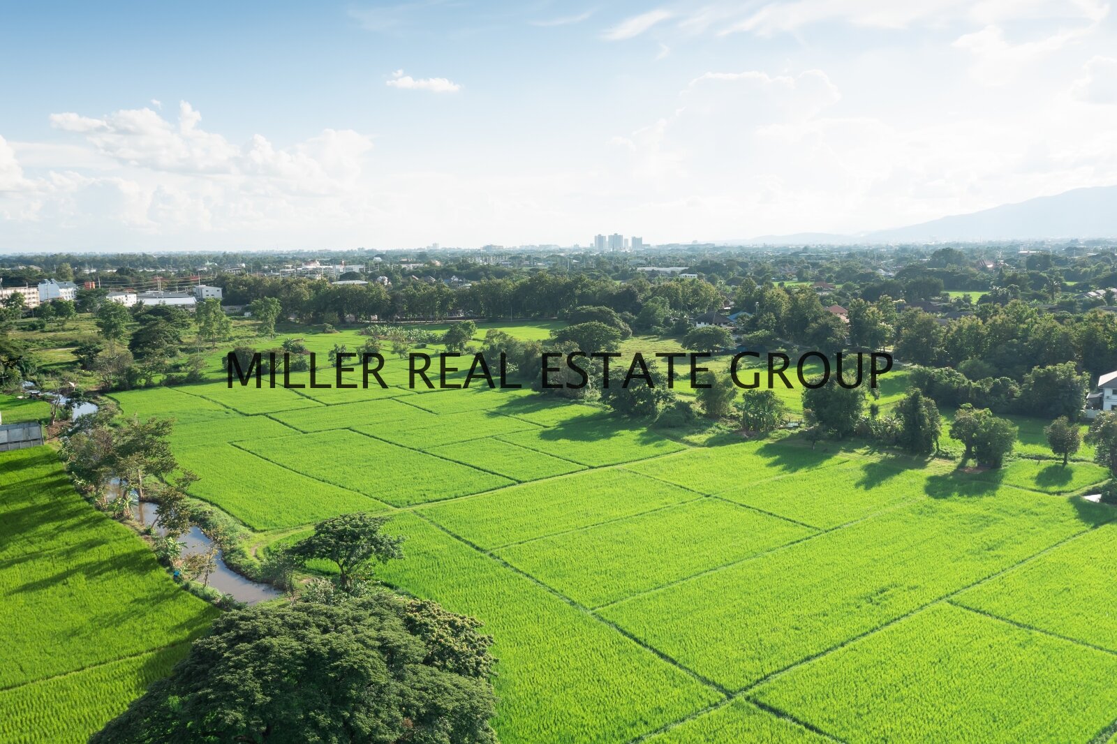 MILLER REAL ESTATE GROUP MILLER REAL ESTATE GROUP